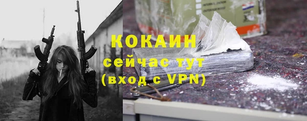 крисы Инта