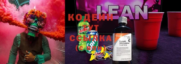 прущий лед Инсар