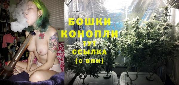крисы Инта