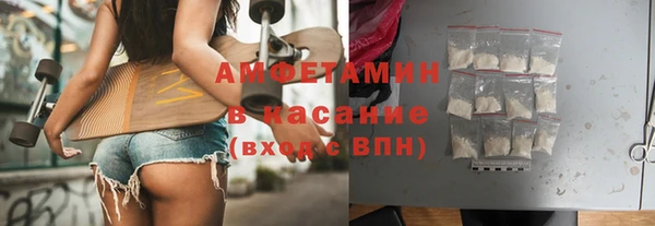 крисы Инта