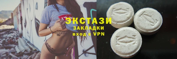 крисы Инта