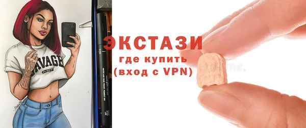 крисы Инта