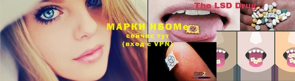 прущий лед Инсар