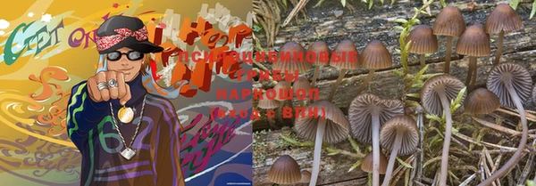 крисы Инта