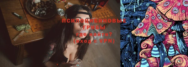 крисы Инта