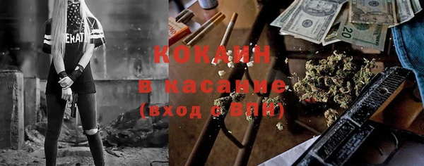 крисы Инта