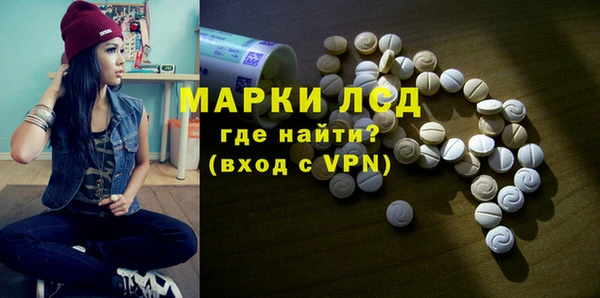 прущий лед Инсар