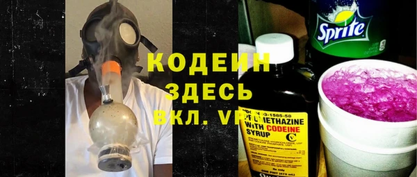 крисы Инта