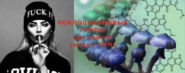 крисы Инта