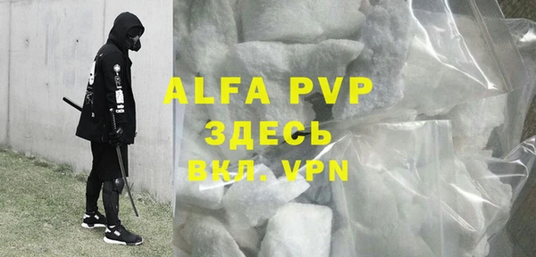 крисы Инта