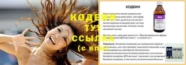 крисы Инта