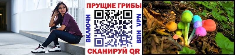 Псилоцибиновые грибы GOLDEN TEACHER  Купить закладки  Губкинский 